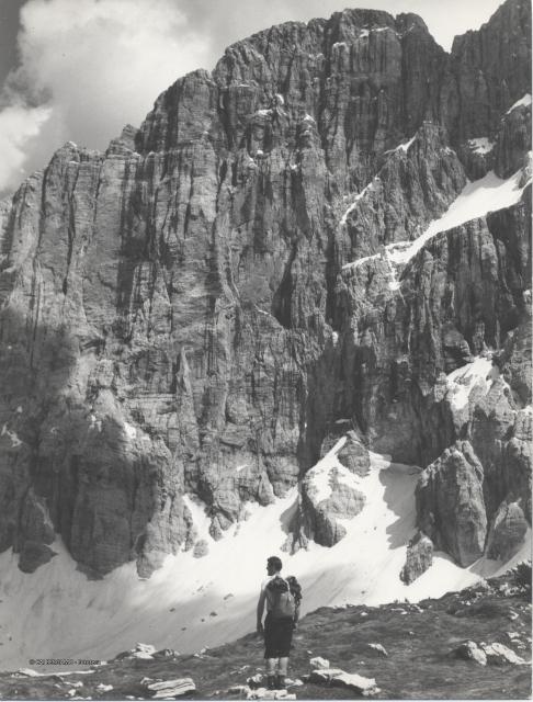 Dolomiti