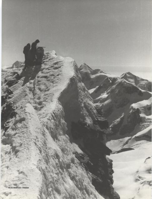 Cervino