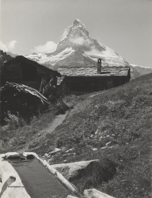 Cervino