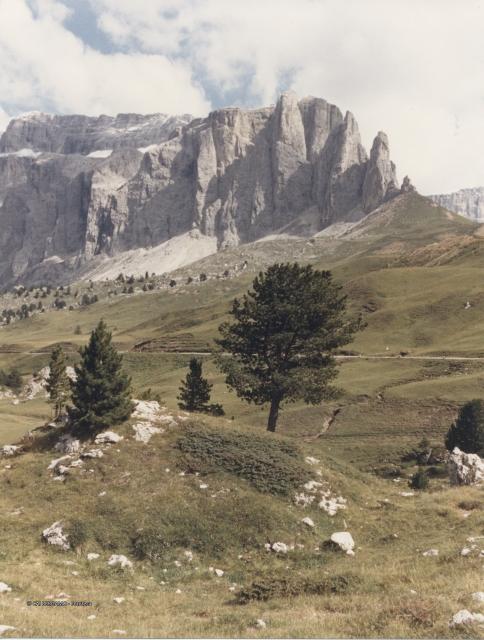 Dolomiti