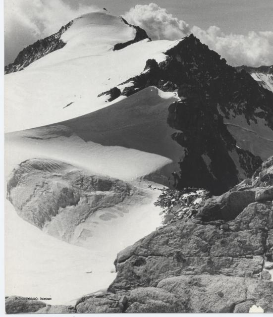 Adamello - dal Corno di Cavento