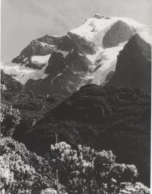 Ruwenzori