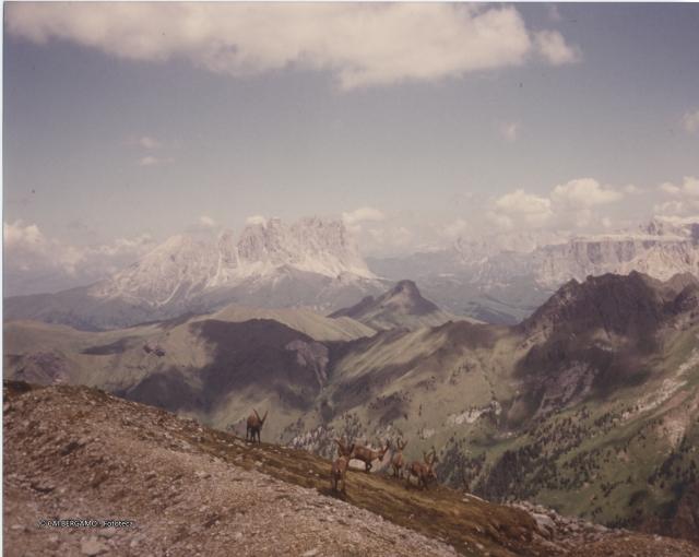 Dolomiti