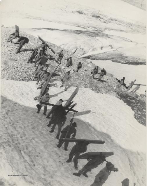 Alpini