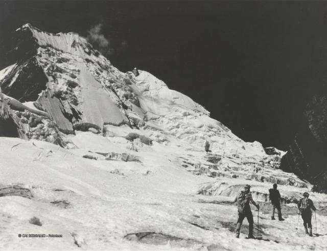 Ande Peruviane