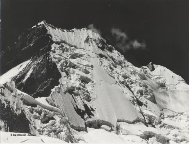 Ande Peruviane