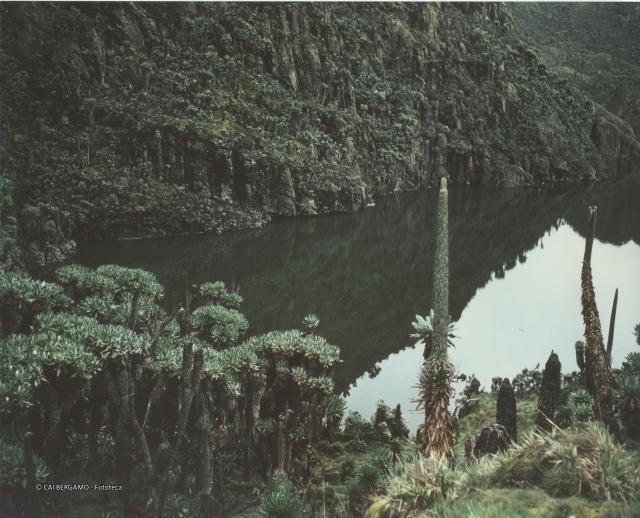 Ruwenzori