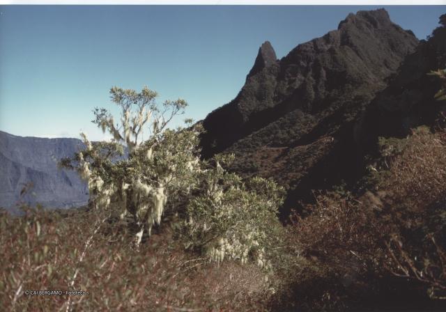 Ile De La Réunion