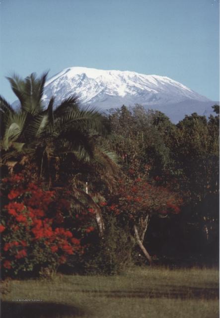 Kilimangiaro