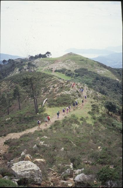 Isola d'Elba