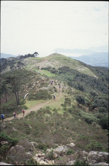 Isola d'Elba