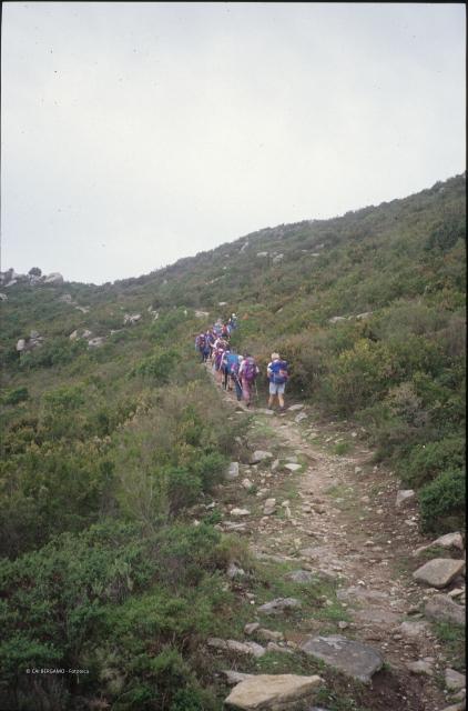 Isola d'Elba