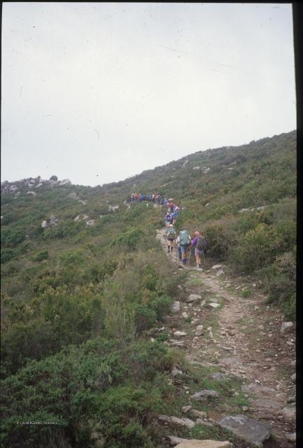 Isola d'Elba