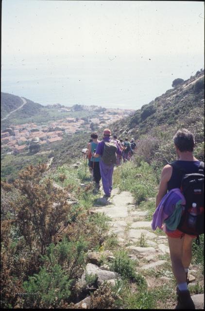Isola d'Elba