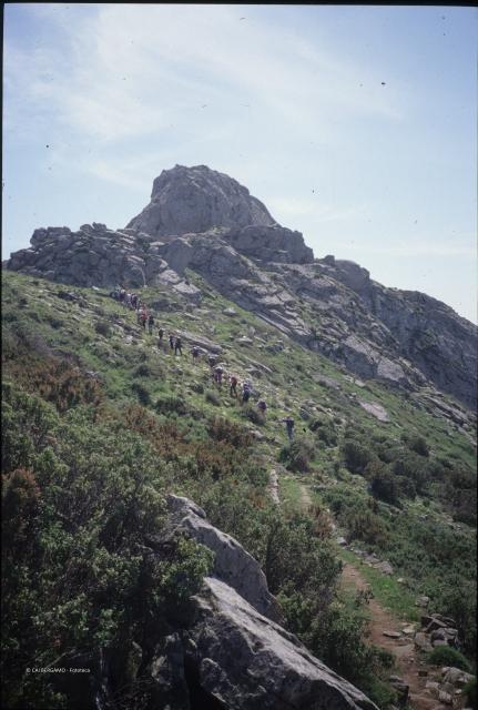 Isola d'Elba