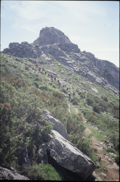 Isola d'Elba