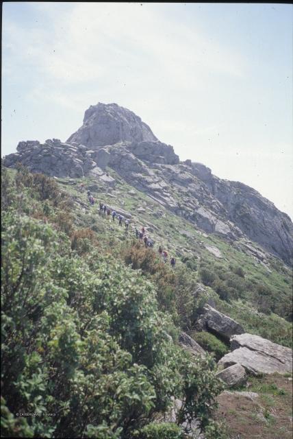 Isola d'Elba