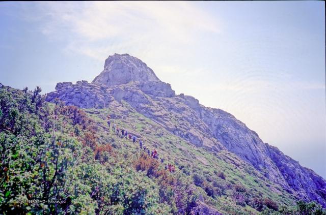 Isola d'Elba