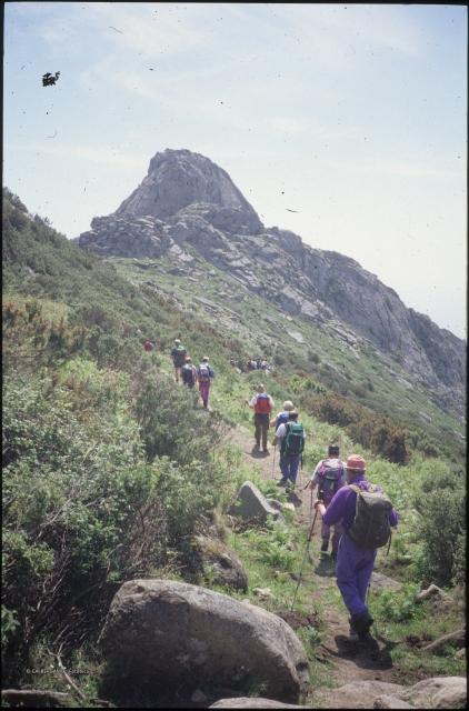 Isola d'Elba