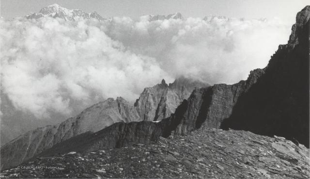 Grivola