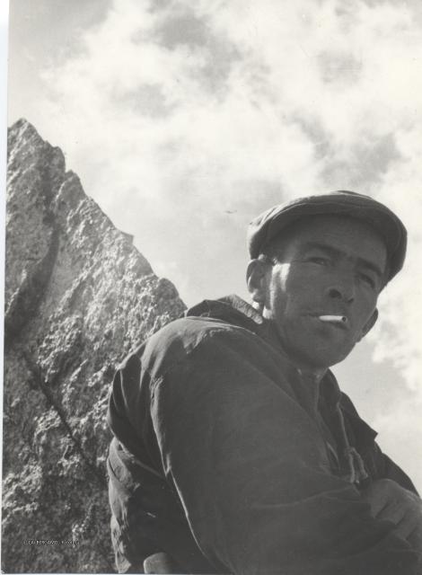 Guide alpine