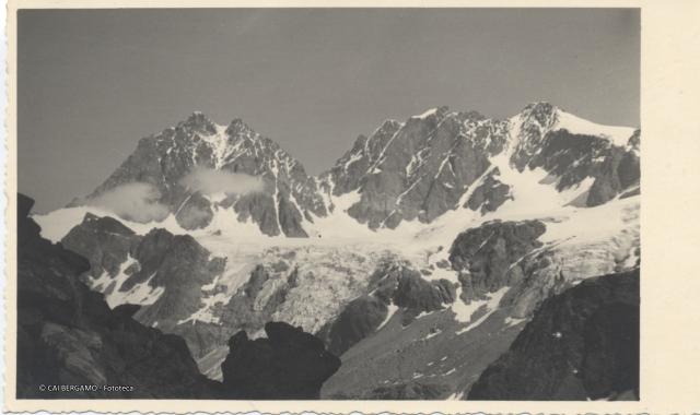 Bernina