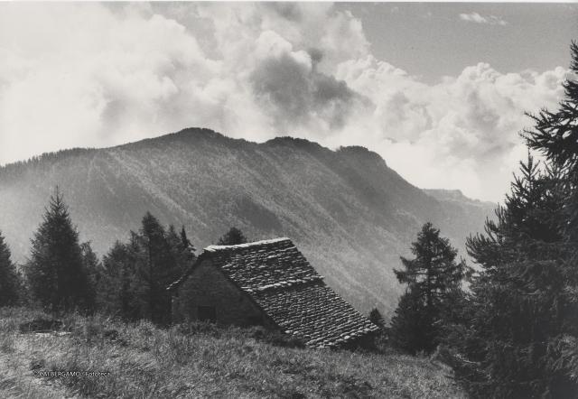 Architettura alpina