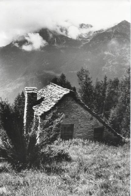 Architettura alpina