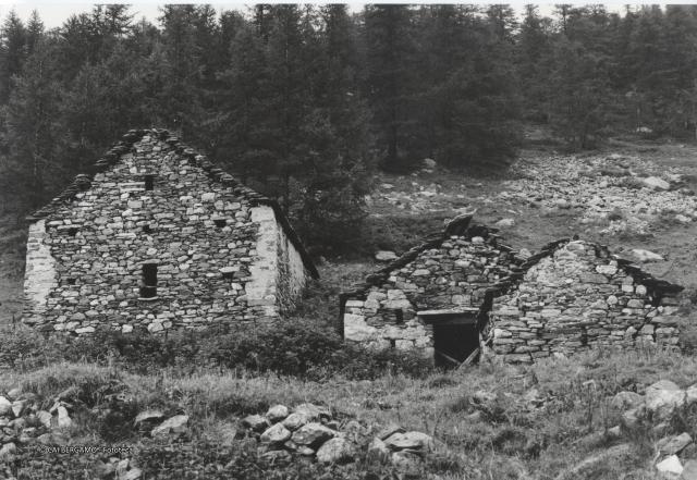 Architettura alpina