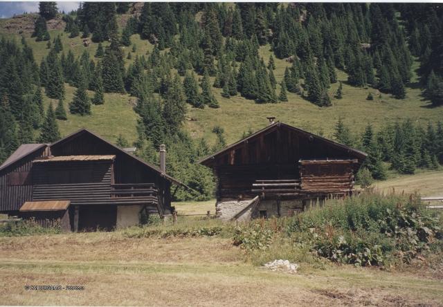 Dolomiti