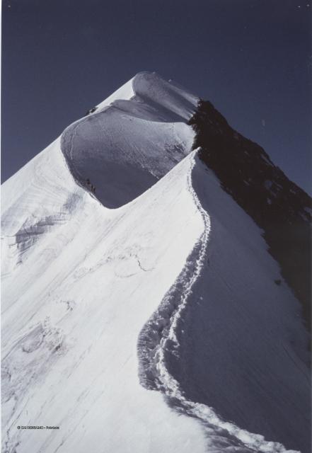 Gruppo del Bernina