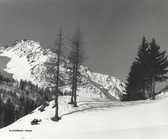 Trofeo Parravicini 1985