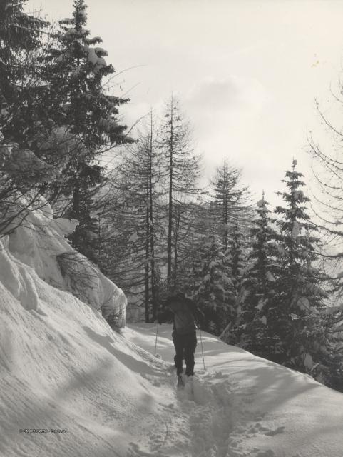 Sci Alpinismo
