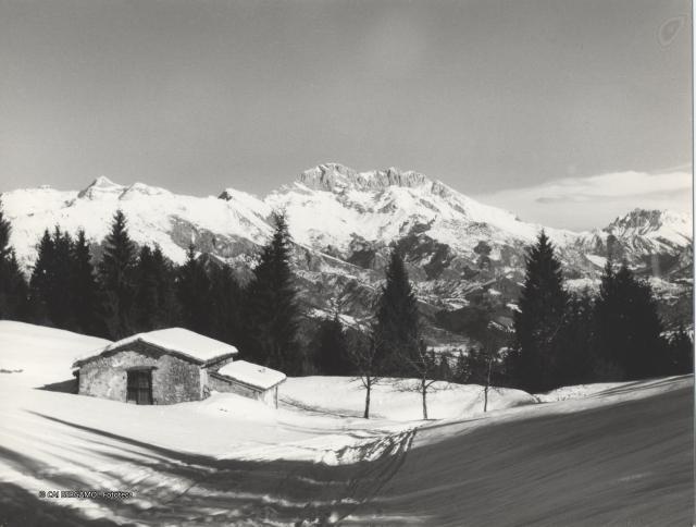 Sci alpinismo