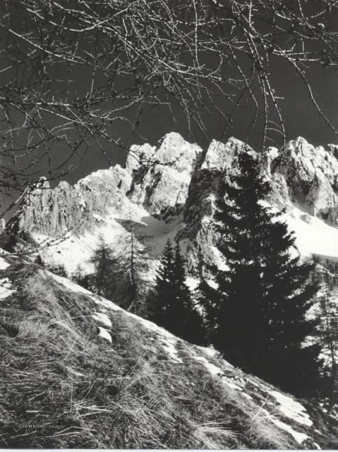 Sci Alpinismo