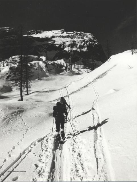 Sci Alpinismo