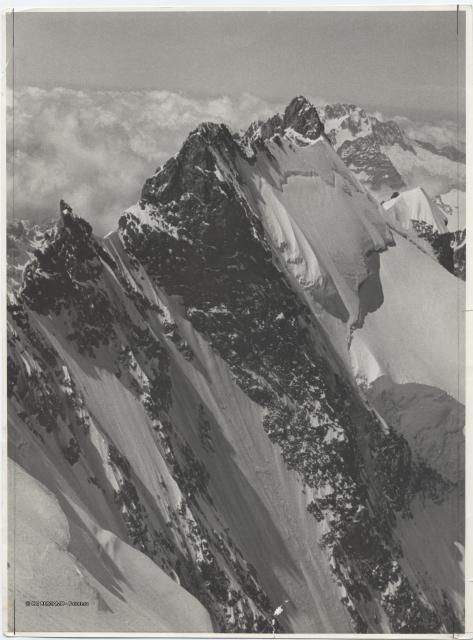 Gruppo Bernina