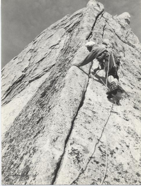 Alpi Retiche