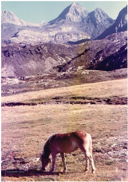 Alpi Orobiche