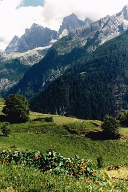 Alpi Retiche