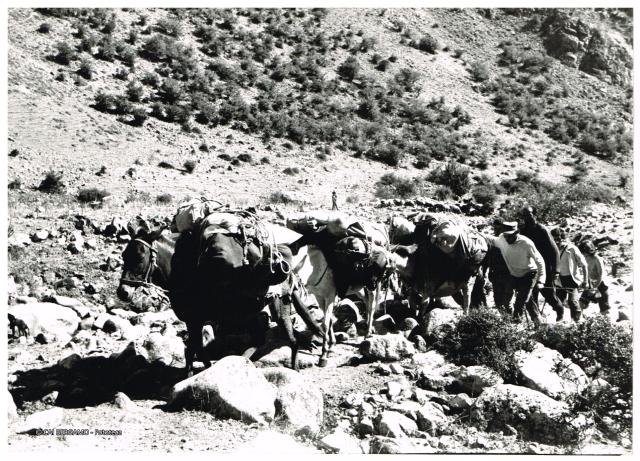 Alam Kuh (m 4.848)