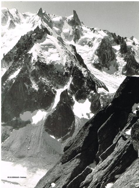 DENTE DEL GIGANTE