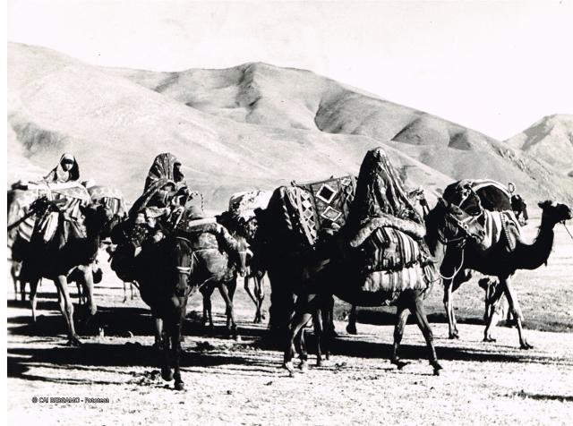 TUAREG