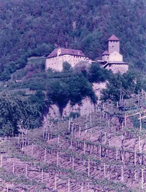 Alto Adige