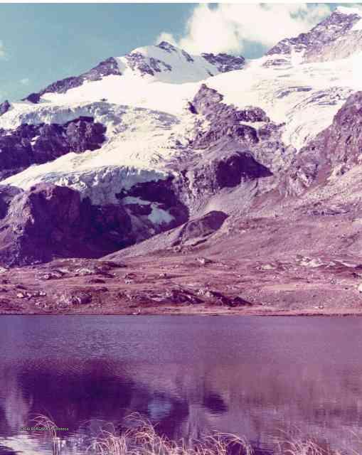 Alpi Retiche