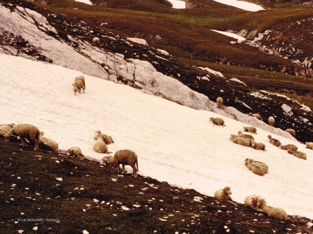 Alpi Graie