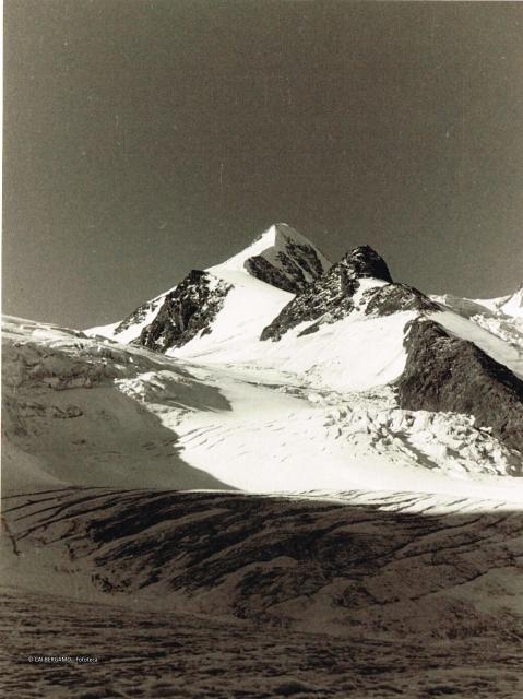 Palla Bianca