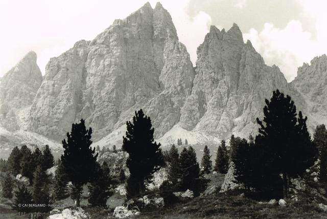 Il Cir