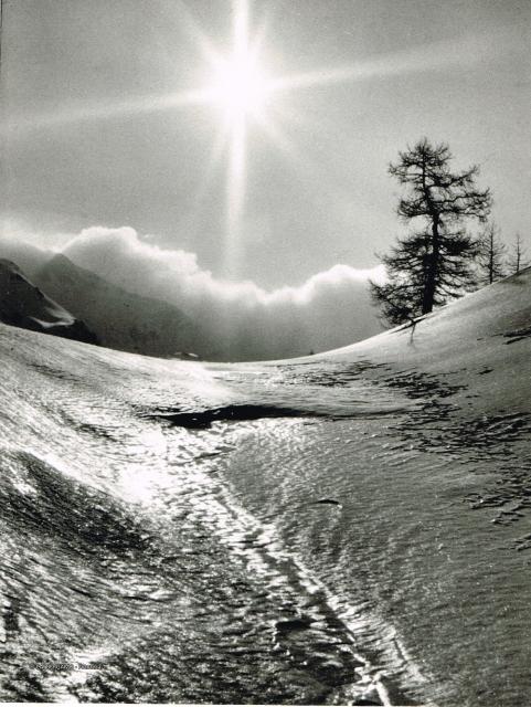 Controluce