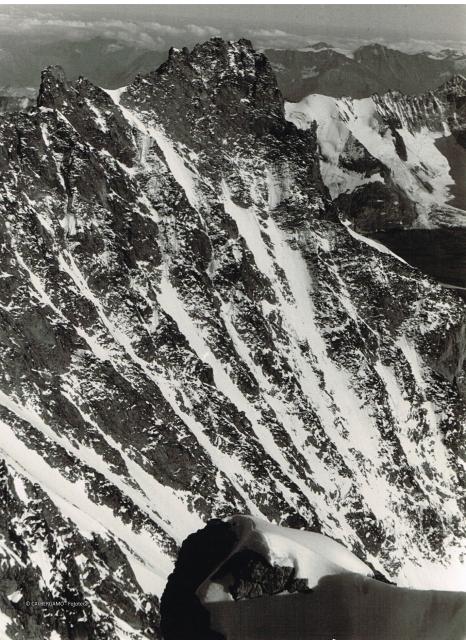 Alpi Bernesi